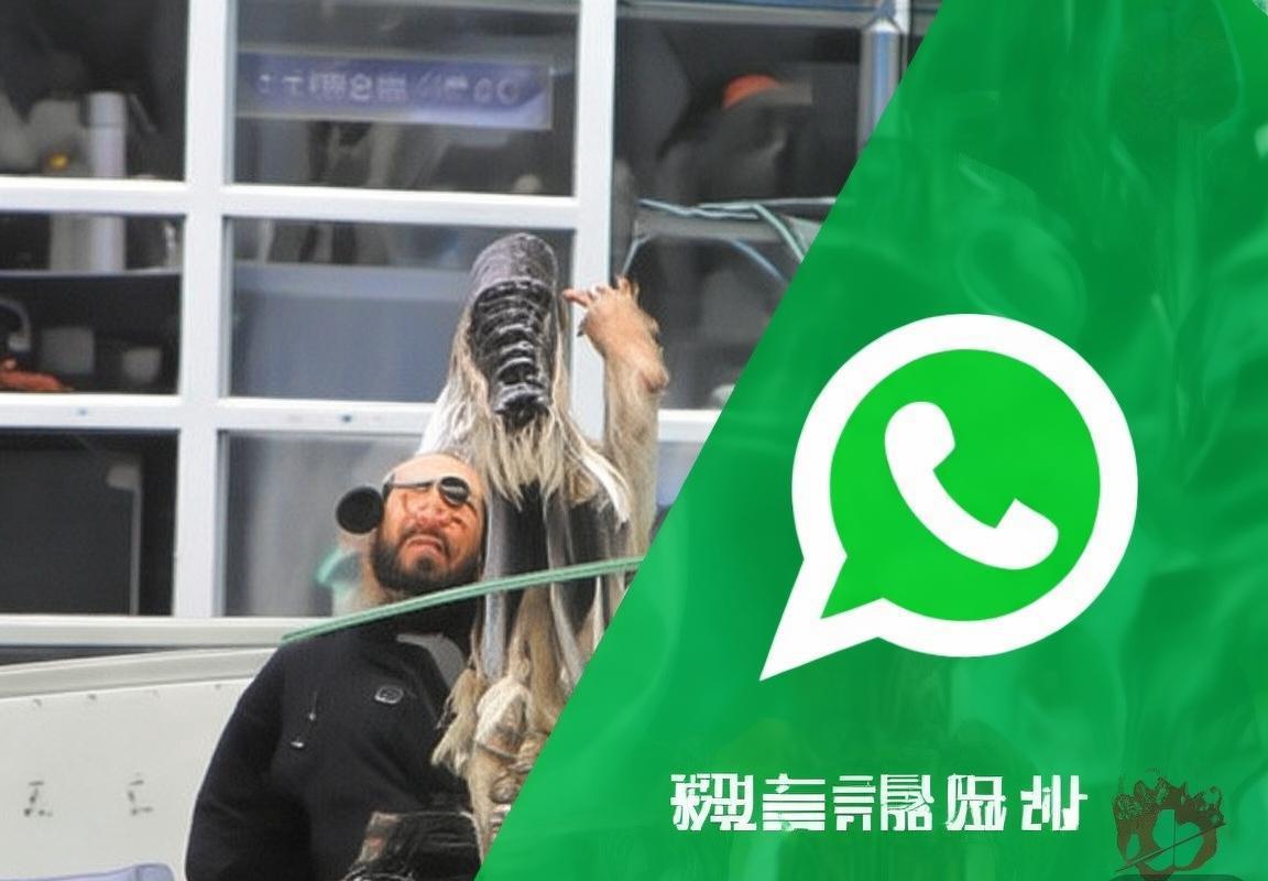 翻译软件-翻译软件-翻译助手