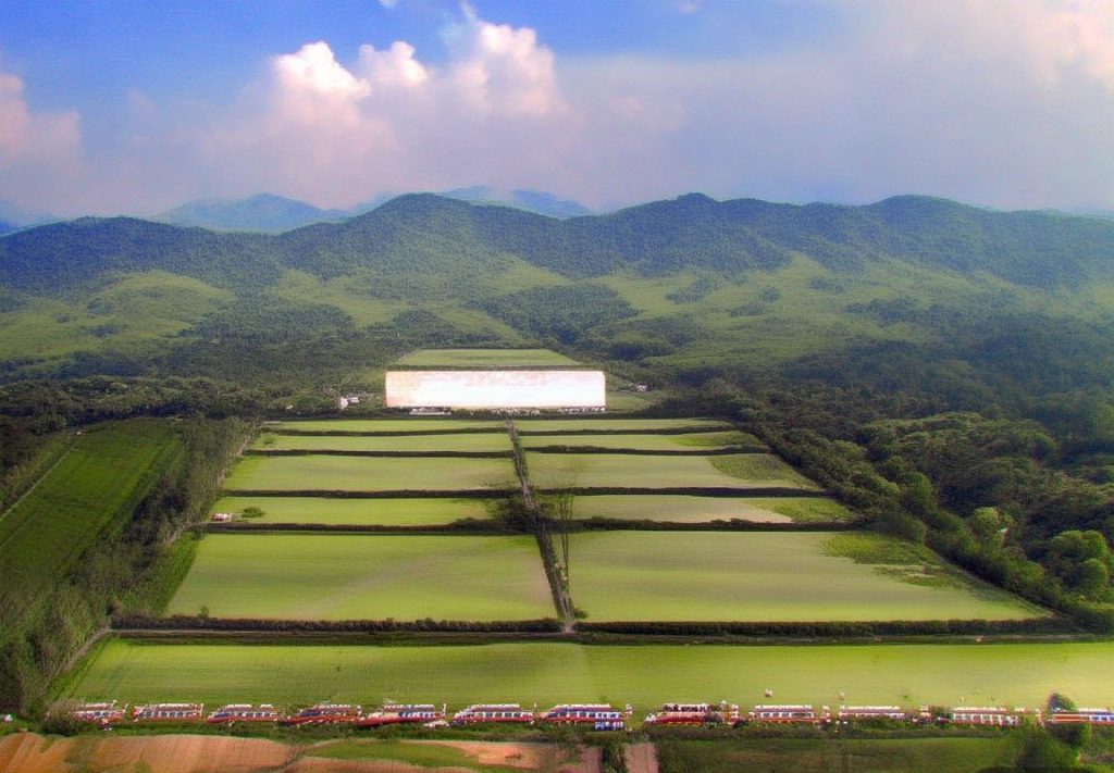最新Lucky-ai软件下载实测：Lucky AI翻译工具深度评测，实时翻译与专业术语准确度超越Google翻译和DeepL